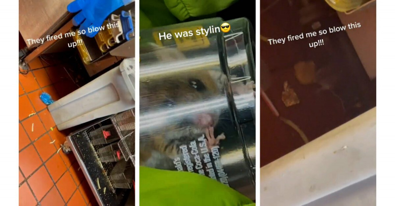 Videa TikTok se objevují, aby ukázala krysu uvnitř McDonald’s