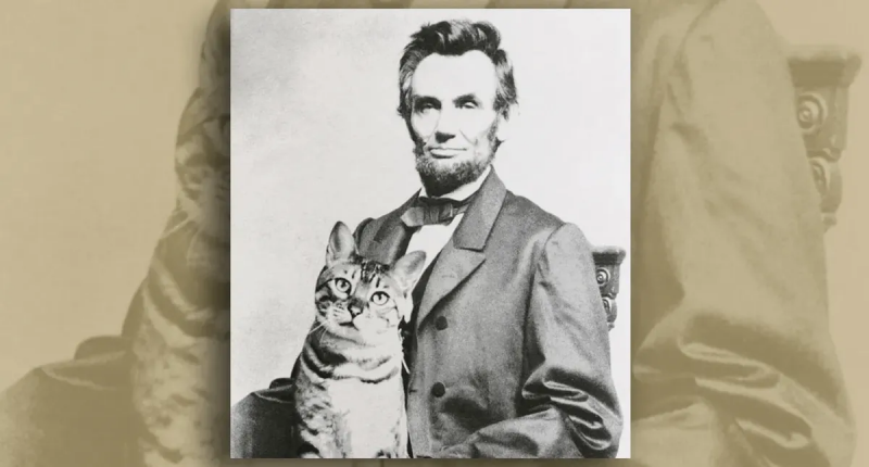 Ist das ein echtes Foto von Abraham Lincoln mit einer Katze auf seinem Schoß?