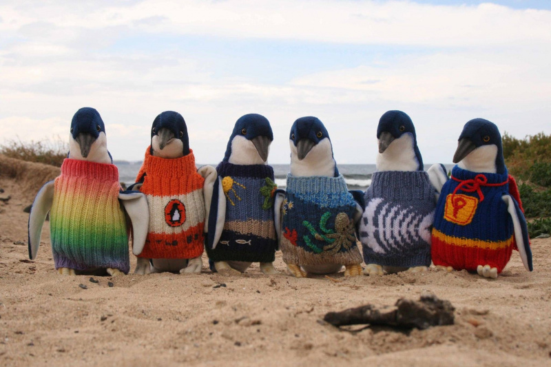 пингвин свитера