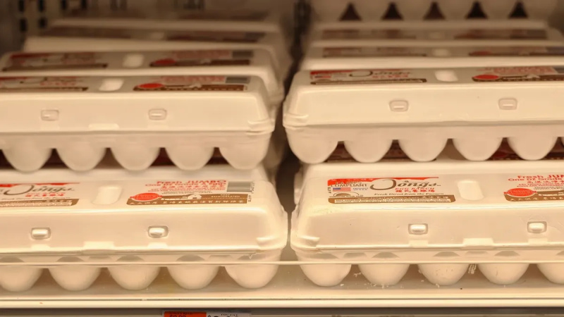 Wurden während des Mangels im Januar 2023 Diebstahlsicherungen an Eierkartons angebracht?
