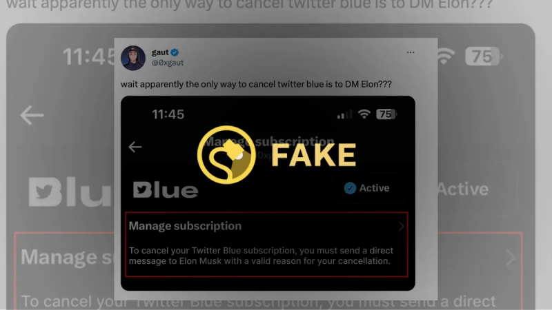 Els subscriptors de Twitter Blue han de DM Elon Musk per cancel·lar-lo?