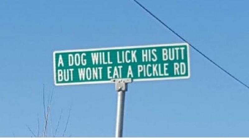 Ist 'Ein Hund wird seinen Hintern lecken, aber keine Essiggurkenstraße essen' echt?