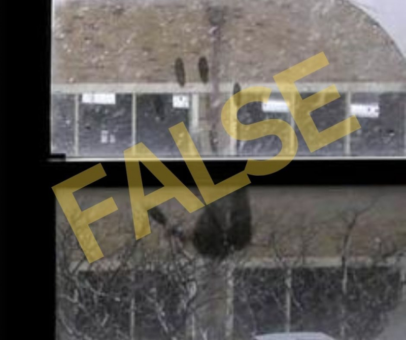 Реальна ли эта фотография 'нечеловеческого' отпечатка руки на окне?