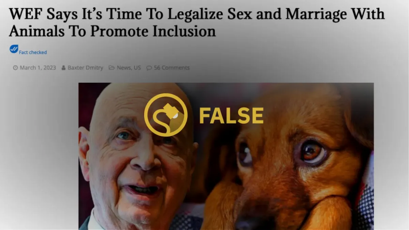 Ne, Svetovni gospodarski forum vladam ni ukazal, naj legalizirajo poroke z živalmi