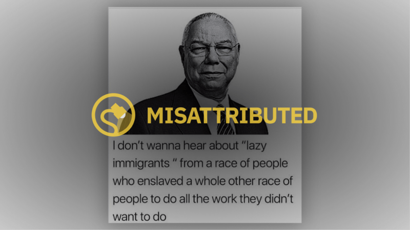 Gör Colin Powell virala kommentarer om 'Lazy Immigrants' och White Hypocrisy?
