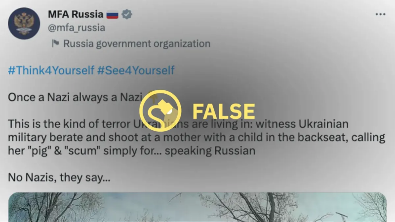 Ali ta video prikazuje ukrajinske vojake, ki terorizirajo mater in njenega otroka?
