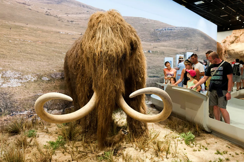 Yrittävätkö tutkijat 'reinkarnoida' villaisen mammutin vuoteen 2027 mennessä?