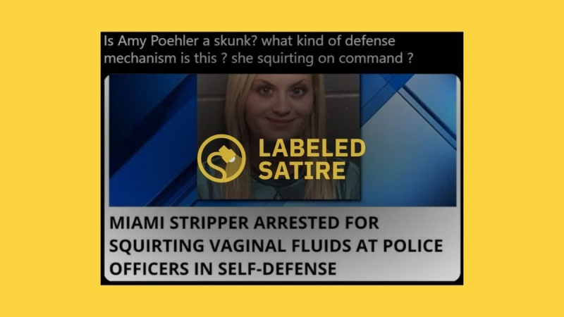 Ein Stück Satire wurde viral, weil ein Bild dieser angeblichen Stripperin der Schauspielerin Amy Poehler ähnelte.